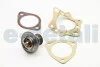 Термостат FORD; MAZDA; NISSAN; ROVER (вир-во) Vernet TH1419.82J (фото 2)