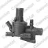 Термостат Nissan Qashqai I II/ X-Trail I II III / Ren Fluence (вир-во) Vernet TH743885 (фото 1)