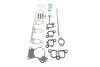 Прокладка коллектора впускного/выпускного VW T5 2.5TDI 03- (к-кт) AXD/AXE/BAC/BLJ/BLK VICTOR REINZ 02-38317-01 (фото 1)