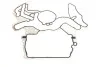 Комплект прокладок (нижний) Audi Q5/Q7/Porsche Cayenne/VW Touareg 3.0 TDI 07- VICTOR REINZ 08-10000-01 (фото 24)