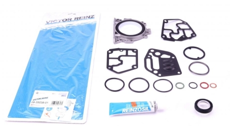 Комплект прокладок двигуна REINZ VICTOR REINZ 08-35038-01