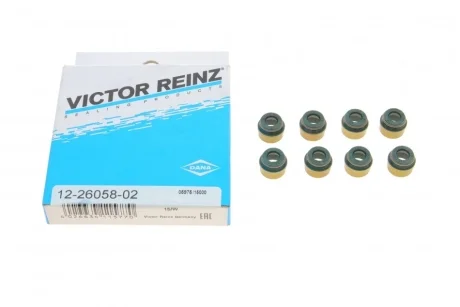 Комплект сальників клапану DIVERSE VICTOR REINZ 12-26058-02