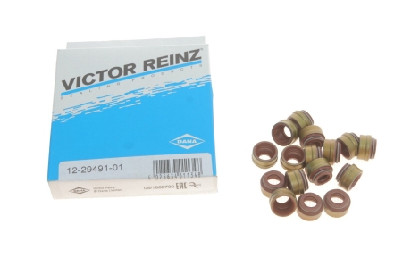 Комплект прокладок, стержень клапана REINZ VICTOR REINZ 12-29491-01