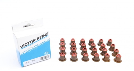 Комплект сальників клапанів VICTOR REINZ 12-35172-02 (фото 1)