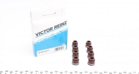 Комплект прокладок, стержень клапана VICTOR REINZ 12-52733-01 (фото 1)