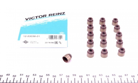 Комплект прокладок, стержень клапана REINZ VICTOR REINZ 12-53036-01
