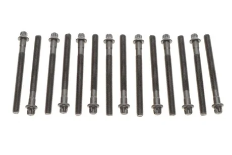 Болты головки (к-кт 14шт.) BMW 3 (E46)/5 (E36/E60/E61) 90- (L=110mm) M52 VICTOR REINZ 14-32101-01