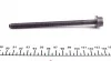 Болты головки (к-кт 10шт.) VW Caddy IV 1.2/1.4 TSI 15- VICTOR REINZ 14-32385-01 (фото 3)