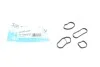 Прокладка радиатора масляного BMW X1 (F48)/X2 (F39) 15- (к-кт) B37/B38/B42/B46/B47/B48 VICTOR REINZ 15-10049-01 (фото 1)
