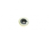 Комплект прокладок клапанної кришки VICTOR REINZ 15-52543-01 (фото 6)