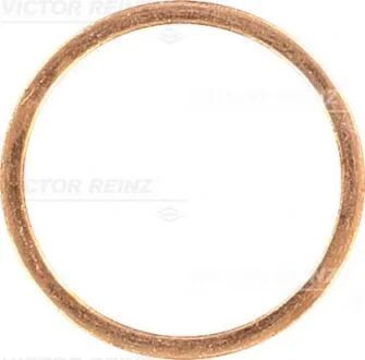 Уплотнительное кольцо VICTOR REINZ 407025200