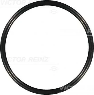 Уплотнительное кольцо VICTOR REINZ 407613100