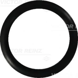 Уплотнительное кольцо VICTOR REINZ 407644900