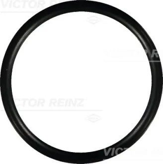 Прокладка впускного колектора VICTOR REINZ 40-76752-00