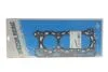 Прокладка ГБЦ Land Rover Discovery/Range Rover 2.7 TD 04-18 (3 метки) (1.22mm) VICTOR REINZ 61-34875-20 (фото 1)