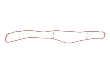 Прокладка коллектора впускного MB E-class (W213)/S-class (W222/V222/X222/W223) 17- OM656 VICTOR REINZ 71-19184-00