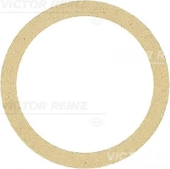Прокладка колектора двигуна гумова VICTOR REINZ 71-34244-00