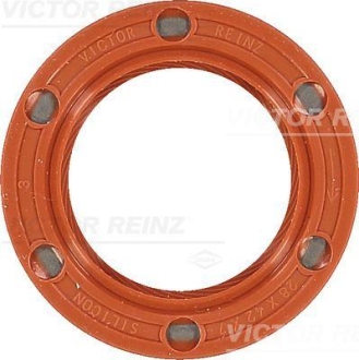 Уплотняющее кольцо VICTOR REINZ 81-33653-10