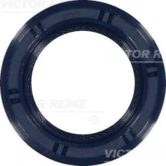 Кольцо уплотнительное VICTOR REINZ 81-53491-00