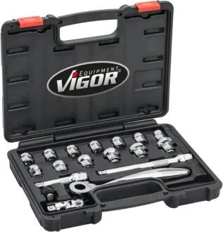 Набор сквозных плоских торцевых головок с трещоткой 3/8" 18 ед. VIGOR V6202