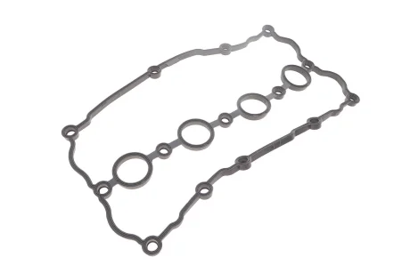 Прокладка крышки клапанов VW Golf V/ Passat 2.0 FSI 04-10 Vika 11031053401