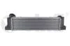 Радиатор интеркуллера BMW 3 E90, E91, E92 /X1 E84 (04-15) VIKA Vika 11077901 (фото 1)