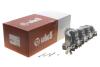 Коллектор впускной VW Passat/Golf 2.0TDI 05-10 Vika 11291785701 (фото 2)
