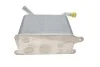 Радиатор масляный VW T5 95-09 (теплообменник) Vika 13171597101 (фото 2)