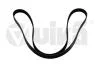Ремень поликлиновой 6PK1877 Skoda Fabia (00-)/VW Polo (02-)/Seat Cordoba (03-05),Ibiza (02-05) VIKA Vika 21450593101 (фото 1)