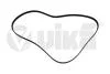 Ремень поликлиновой 6PK1736 Skoda Fabia (07-14,14-),Octavia (04-13)/VW Golf (03-12) vika Vika 22600870801 (фото 1)