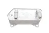 Радиатор масляный VW Caddy III/IV/Passat 05-14/Skoda Octavia 1.2-2.0/1.6-2.0 TDI 04-13 Vika 34090831001 (фото 4)