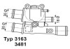 Термостат WAHLER 3163.88D (фото 1)