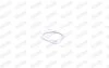 FORD прокладка глушника Focus II 03-, Galaxy 06-, S-Max 10- WALKER 80505 (фото 6)