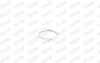 FORD прокладка глушника Focus II 03-, Galaxy 06-, S-Max 10- WALKER 80505 (фото 8)