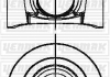 Поршень с кольцами і пальцем (размер отв. 95,80/STD) CITROEN JUMPER 3.0HDI (4цл.) (F1 CE 0481 / 4P10-T2, 4P10-T3, 4P10-T6) YENMAK 31-04836-000 (фото 1)
