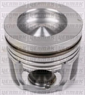 Поршень с кольцами і пальцем (размер отв. 74 / +0.5) (UGCA 1.5 L Duratorq Euro 5 1.5 TDCI 75,0 PS) (дизель, 4ц) YENMAK 31-04955-050 (фото 1)