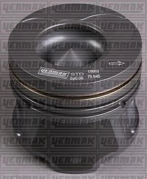 Поршень с кольцами і пальцем (размер отв. 76,00 / STD) RENAULT Megane 1.5dCi 02-, Kangoo 1.5DC 08- (4 цл.) (K9K 728 Euro3) YENMAK 36-04175-000 (фото 1)