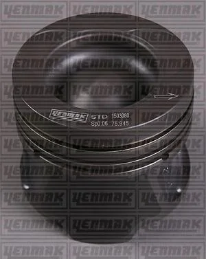 Поршень с кольцами і пальцем (размер отв. 76,00 / STD) RENAULT Kangoo, Megane, 1.5 dCi 08-, (4 цл.) (K9K 837/846 Euro5 95-110PS / OM607.951 OM607 DE 15…) дизель YENMAK 36-04185-000 (фото 1)
